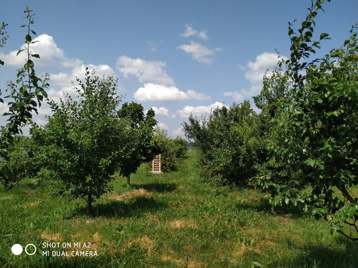 Noclegi Malgorzatka Solec-Zdrój Exteriér fotografie